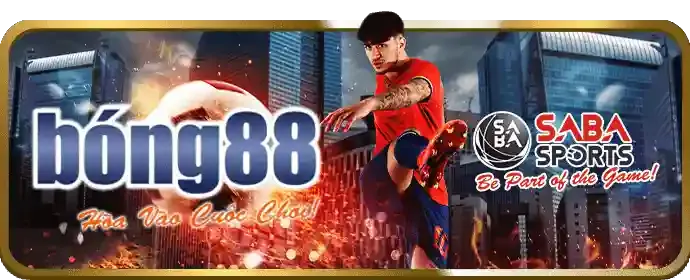Truy cập nhanh chóng 365vn